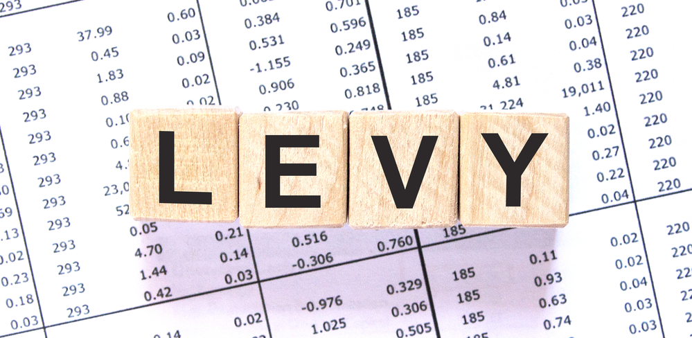 Block letters spelling out LEVY on top of financial statement